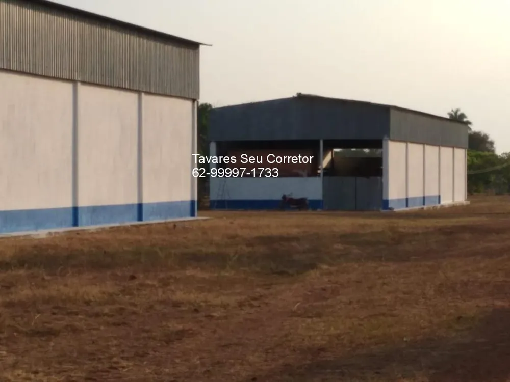 Fazenda, 8 hectares - Foto 7