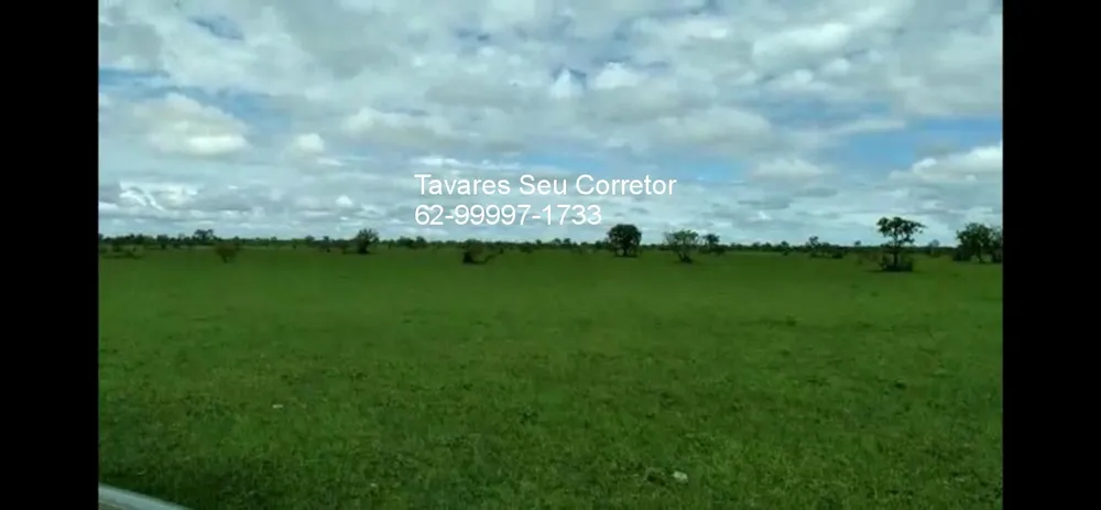 Fazenda, 8 hectares - Foto 16