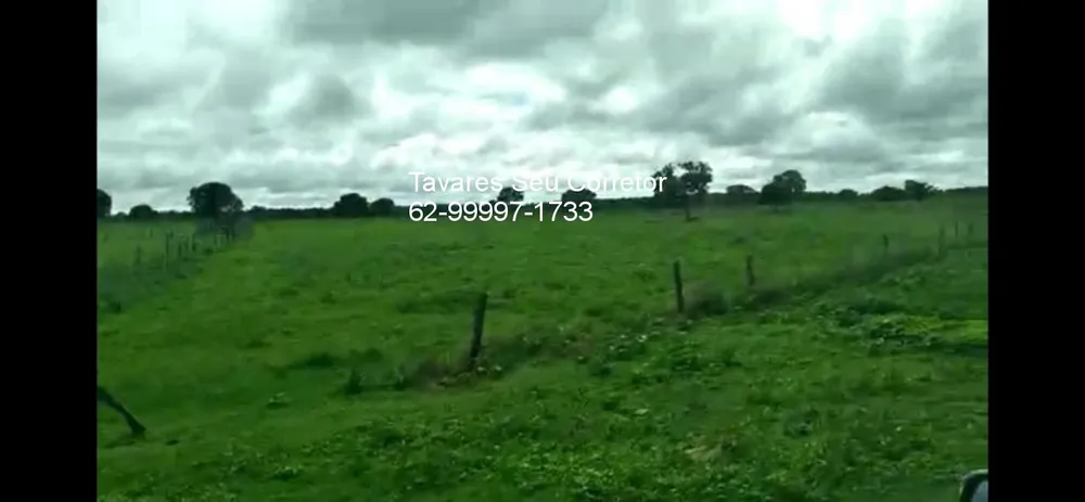 Fazenda, 8 hectares - Foto 4