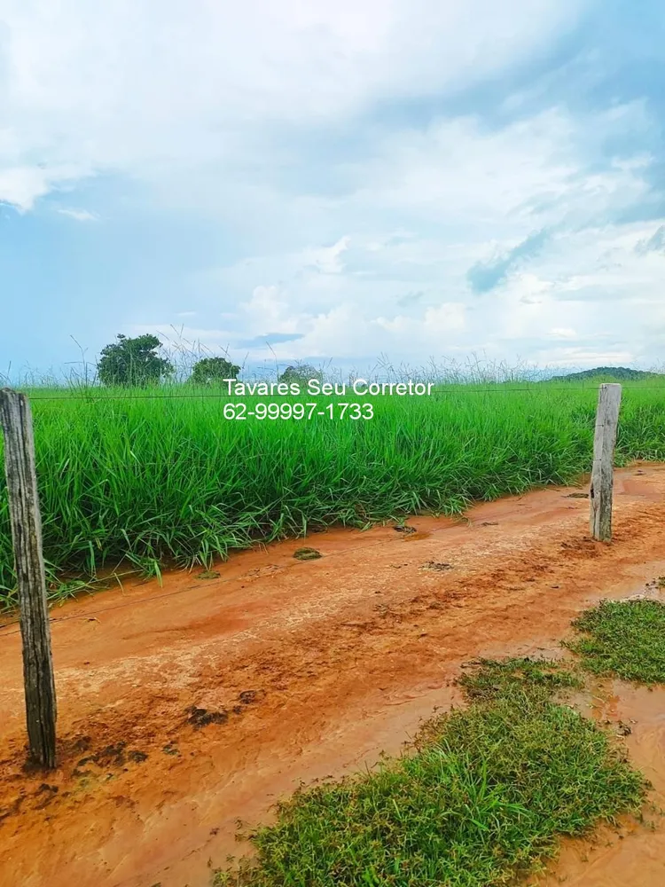 Fazenda, 8 hectares - Foto 3