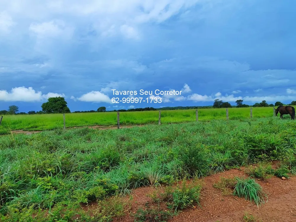 Fazenda, 8 hectares - Foto 2