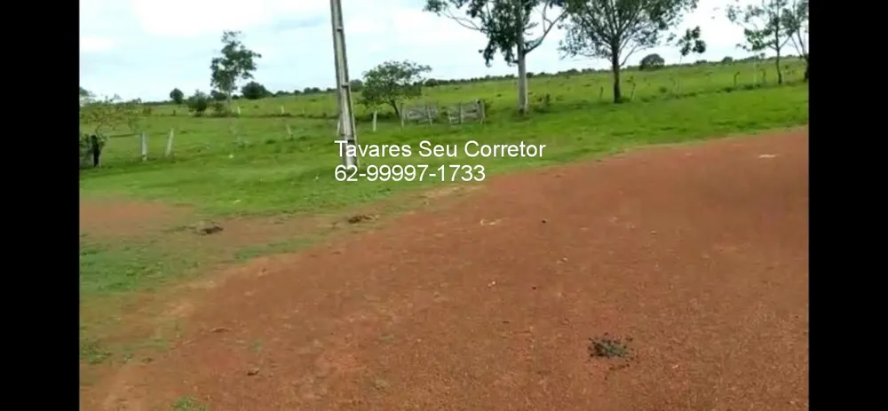 Fazenda, 8 hectares - Foto 15