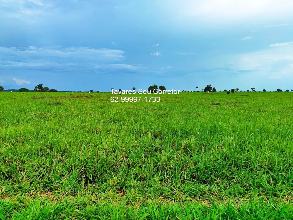 Fazenda, 8 hectares - Foto 14