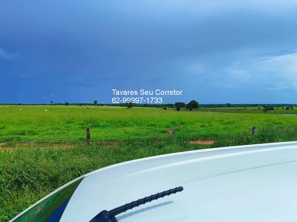 Fazenda, 8 hectares - Foto 13