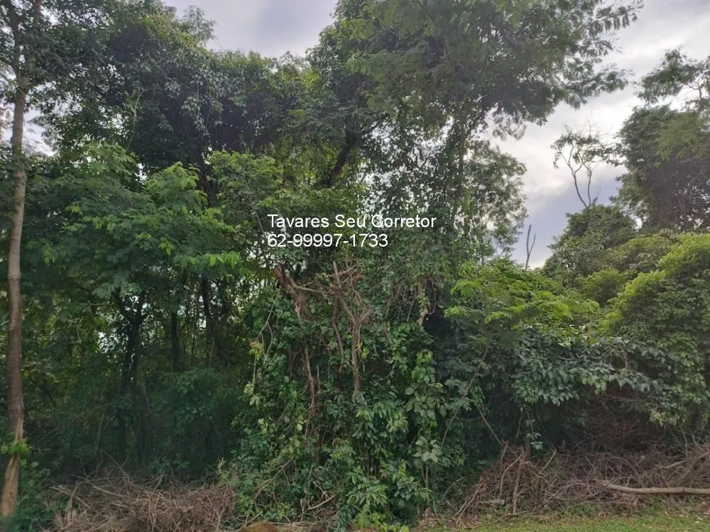 Terreno, 560 m² - Foto 6