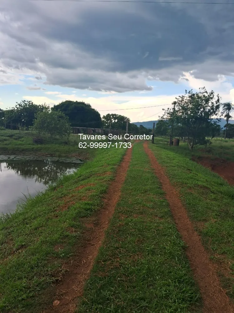 Fazenda - Foto 6