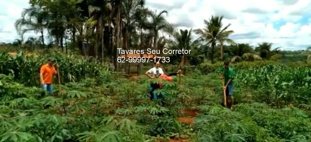 Chácara - Foto 6