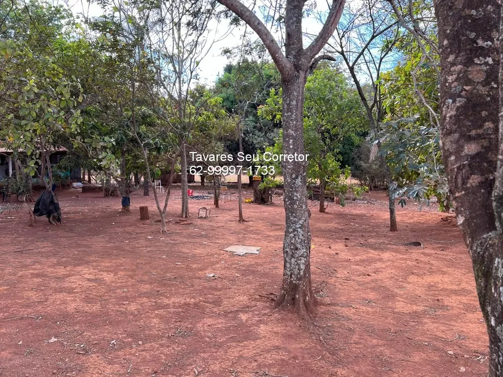 Chácara - Foto 3