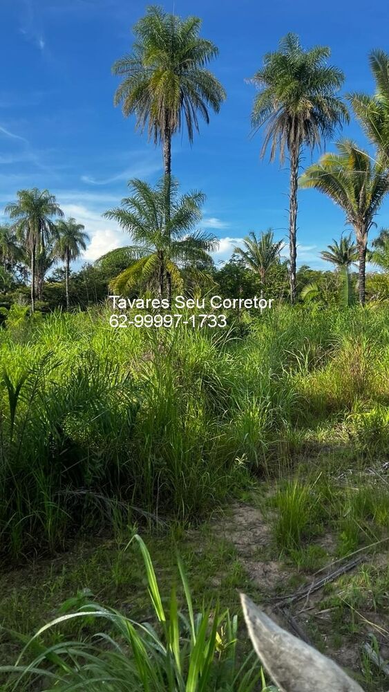 Fazenda à venda - Foto 5