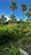 Fazenda - Foto 5