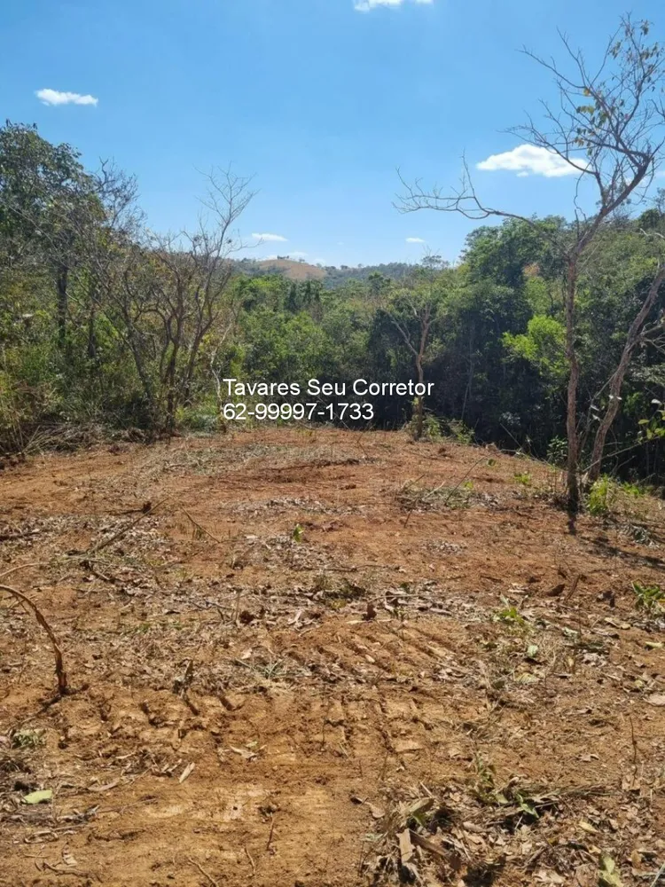 Fazenda - Foto 7