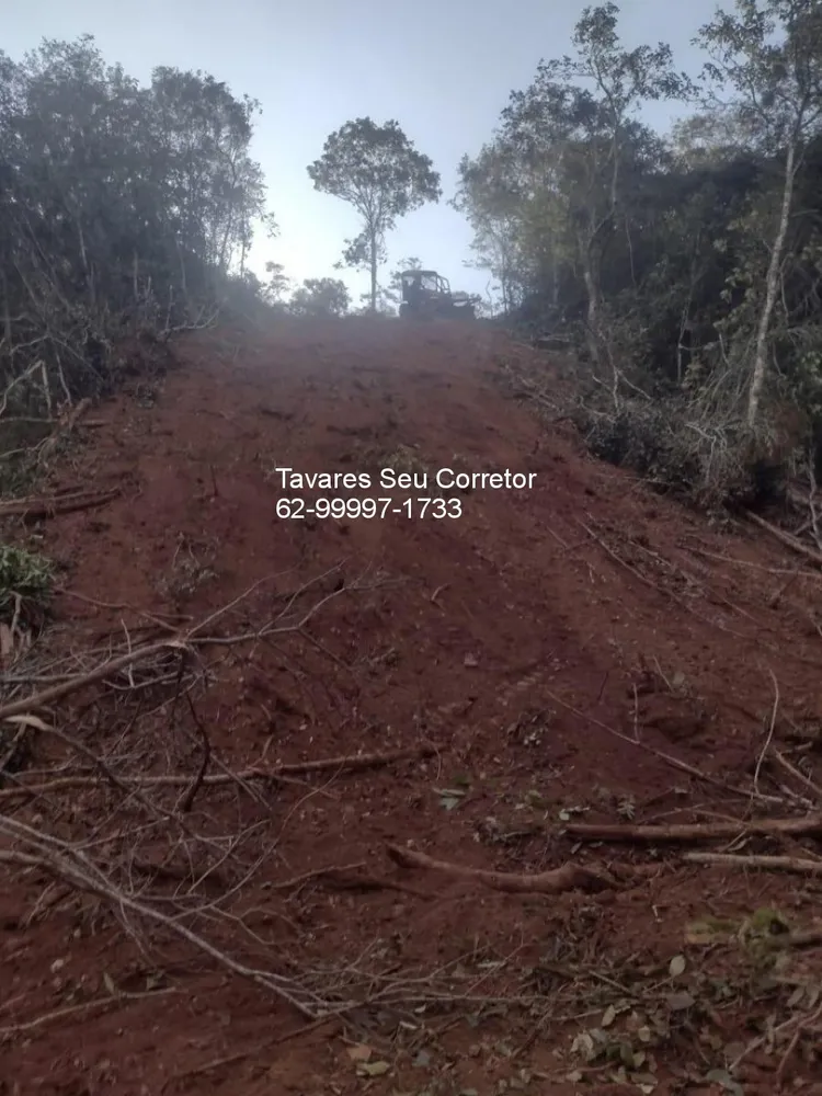 Fazenda - Foto 5