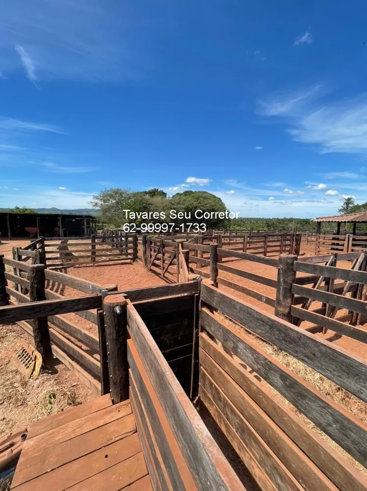 Fazenda - Foto 15