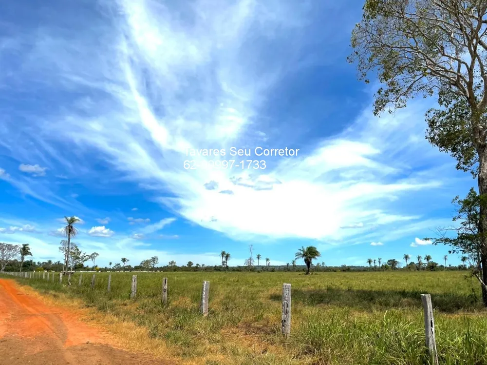 Fazenda - Foto 8