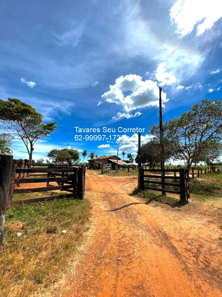 Fazenda - Foto 11