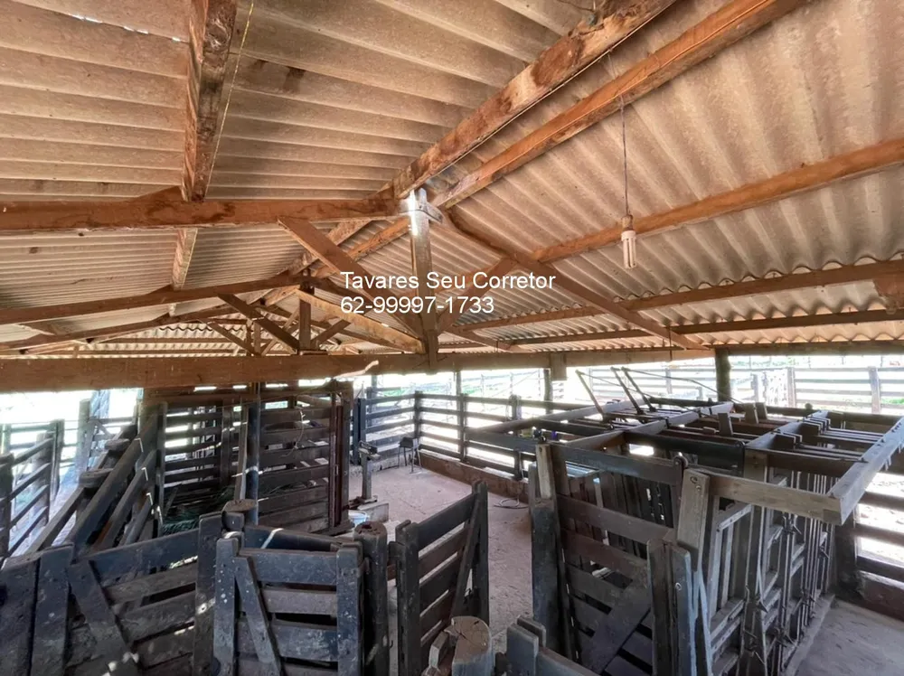 Fazenda - Foto 3
