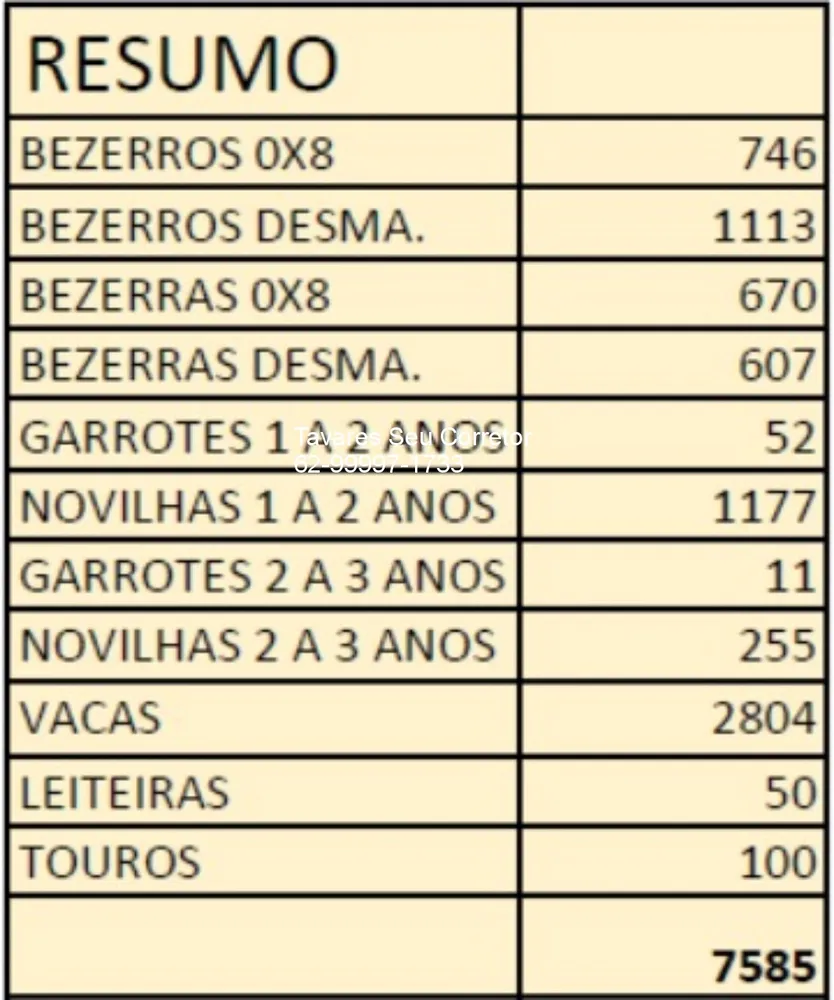 Fazenda - Foto 16