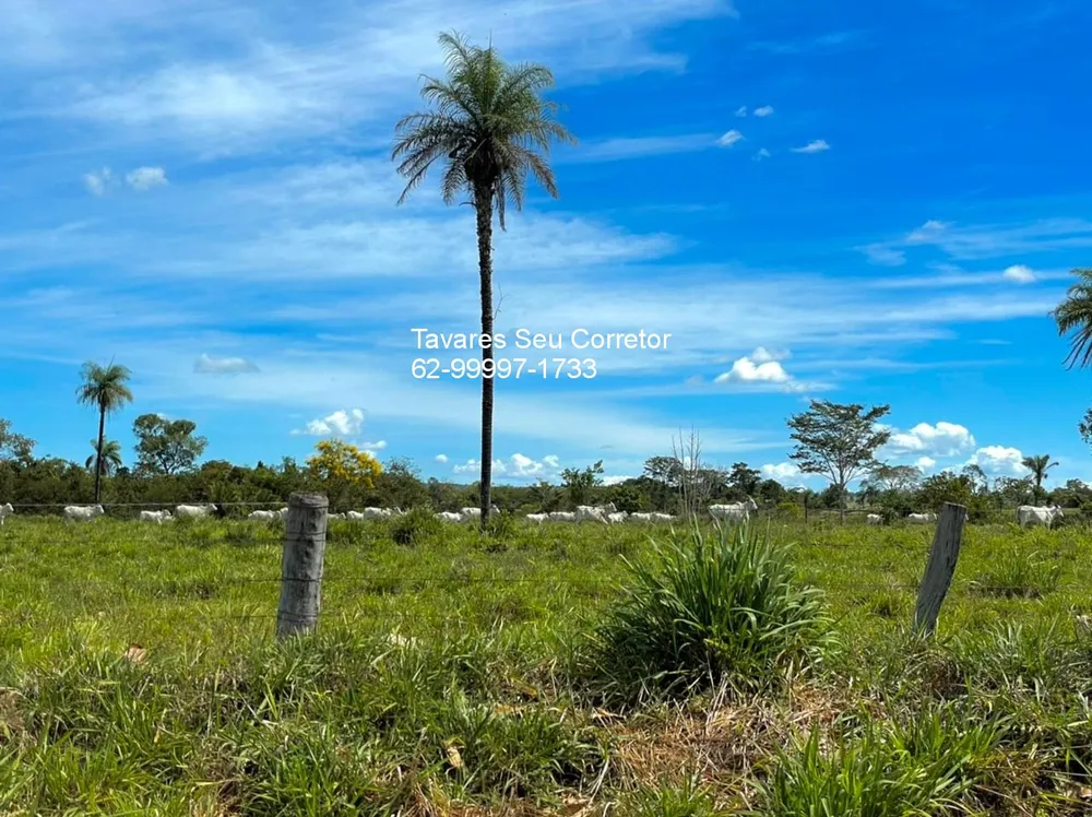 Fazenda - Foto 9