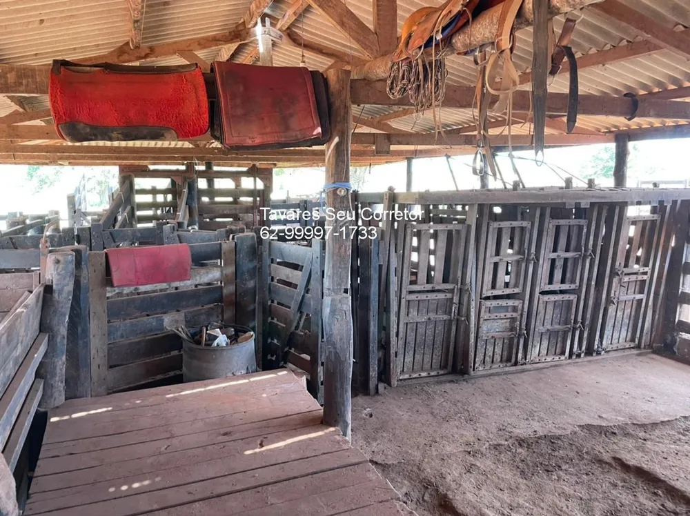 Fazenda - Foto 2