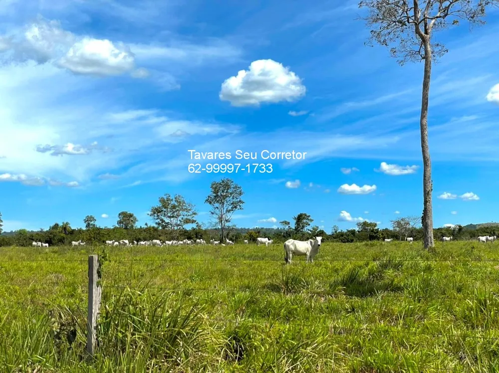 Fazenda - Foto 1