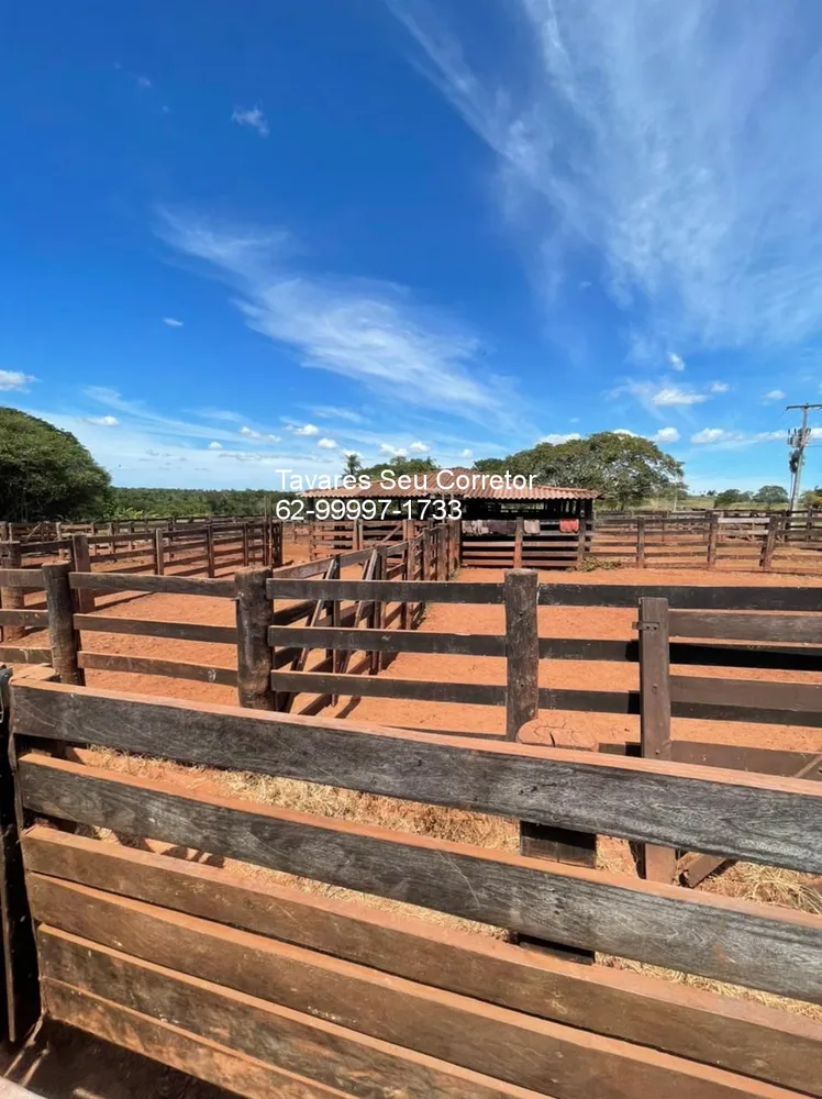 Fazenda - Foto 4