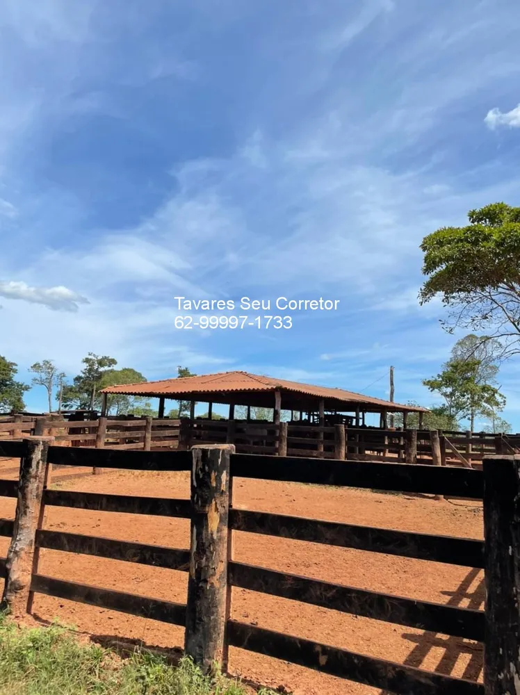 Fazenda - Foto 13
