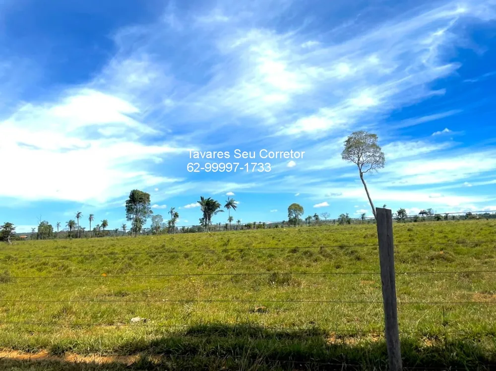 Fazenda - Foto 14