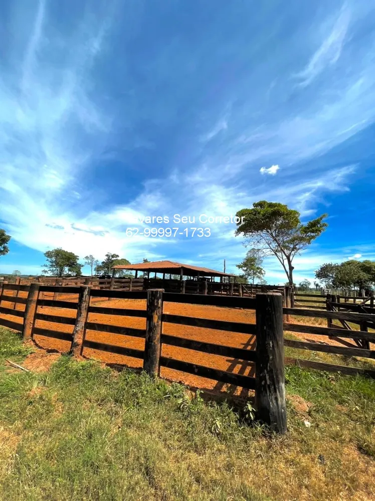 Fazenda - Foto 10