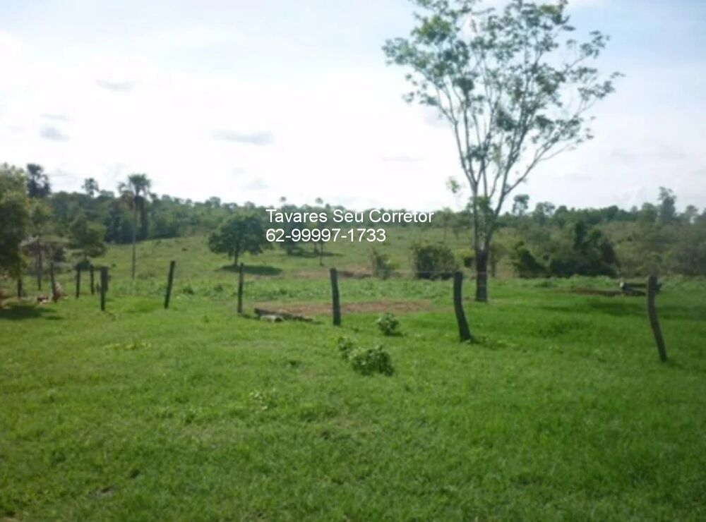 Fazenda à venda - Foto 3