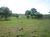Fazenda-Sítio-Chácara - Foto 6