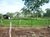 Fazenda - Foto 3