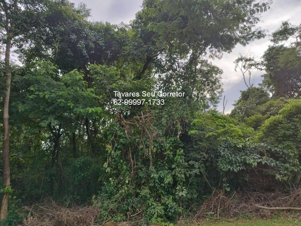 Terreno à venda, 560m² - Foto 6