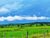 Fazenda-Sítio-Chácara, 8 hectares - Foto 2