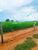 Fazenda-Sítio-Chácara, 8 hectares - Foto 1