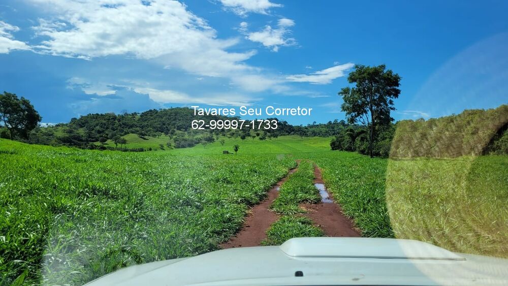 Fazenda à venda com 4 quartos, 250m² - Foto 4