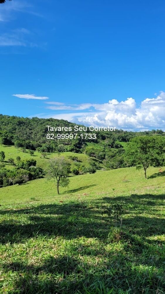 Fazenda à venda com 4 quartos, 250m² - Foto 9