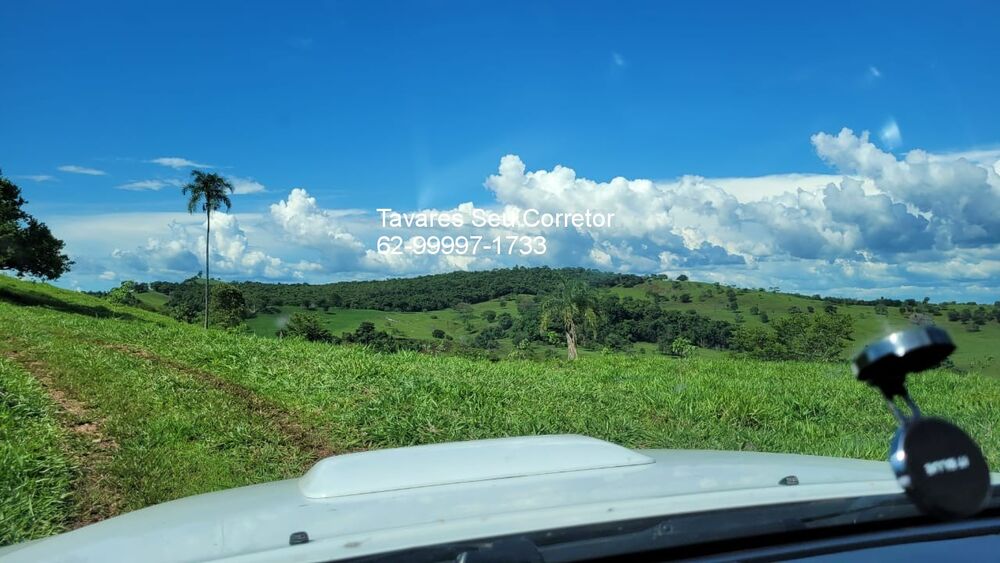 Fazenda à venda com 4 quartos, 250m² - Foto 3