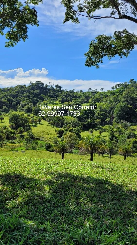 Fazenda à venda com 4 quartos, 250m² - Foto 7
