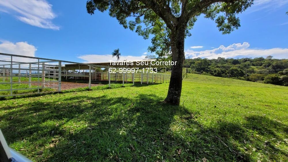 Fazenda à venda com 4 quartos, 250m² - Foto 1