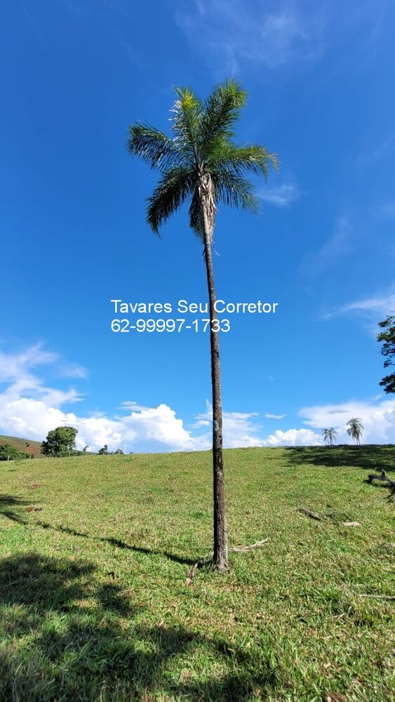 Fazenda à venda com 4 quartos, 250m² - Foto 12