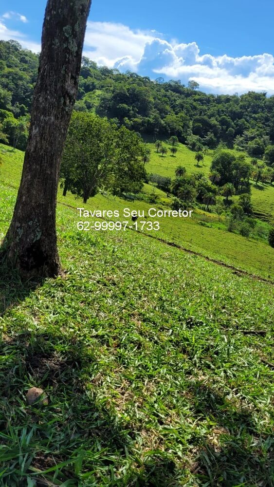 Fazenda à venda com 4 quartos, 250m² - Foto 10
