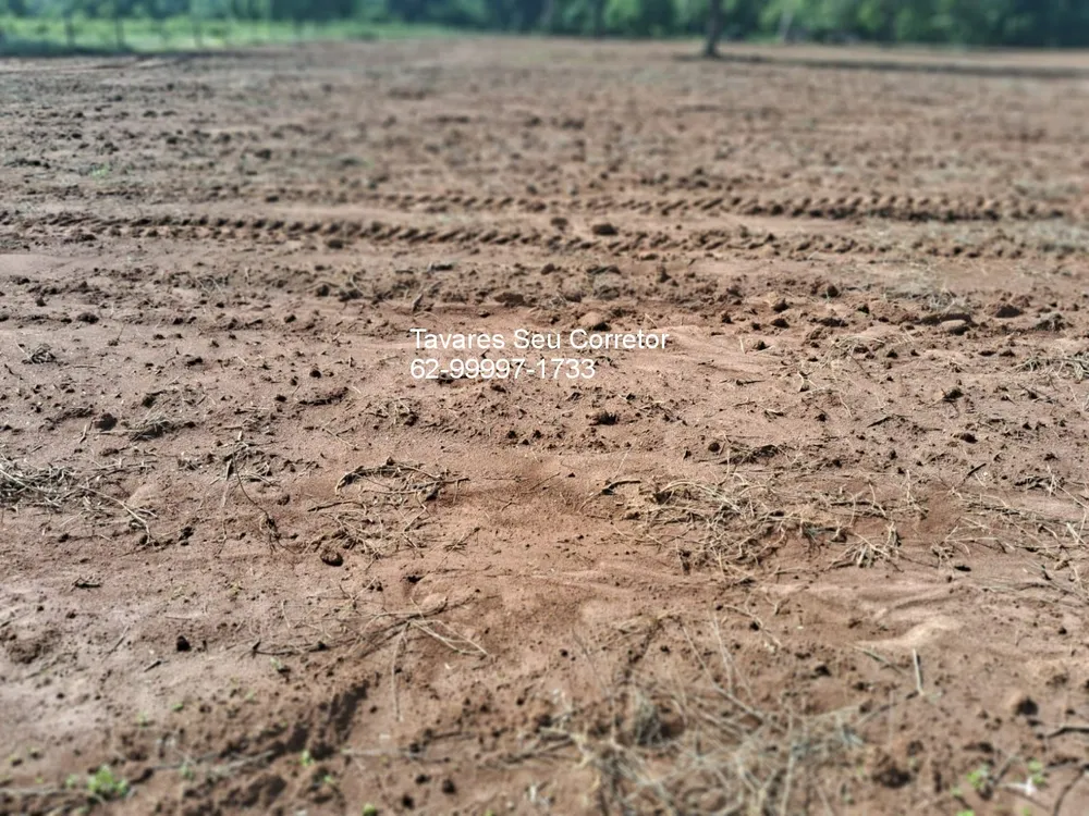 Fazenda - Foto 10