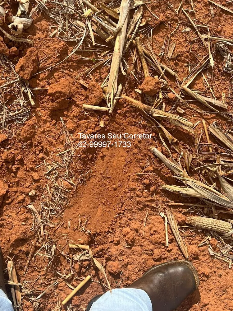 Fazenda - Foto 6
