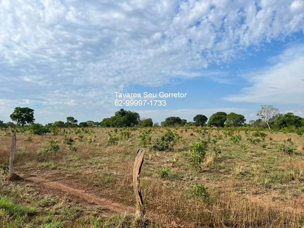 Fazenda - Foto 7