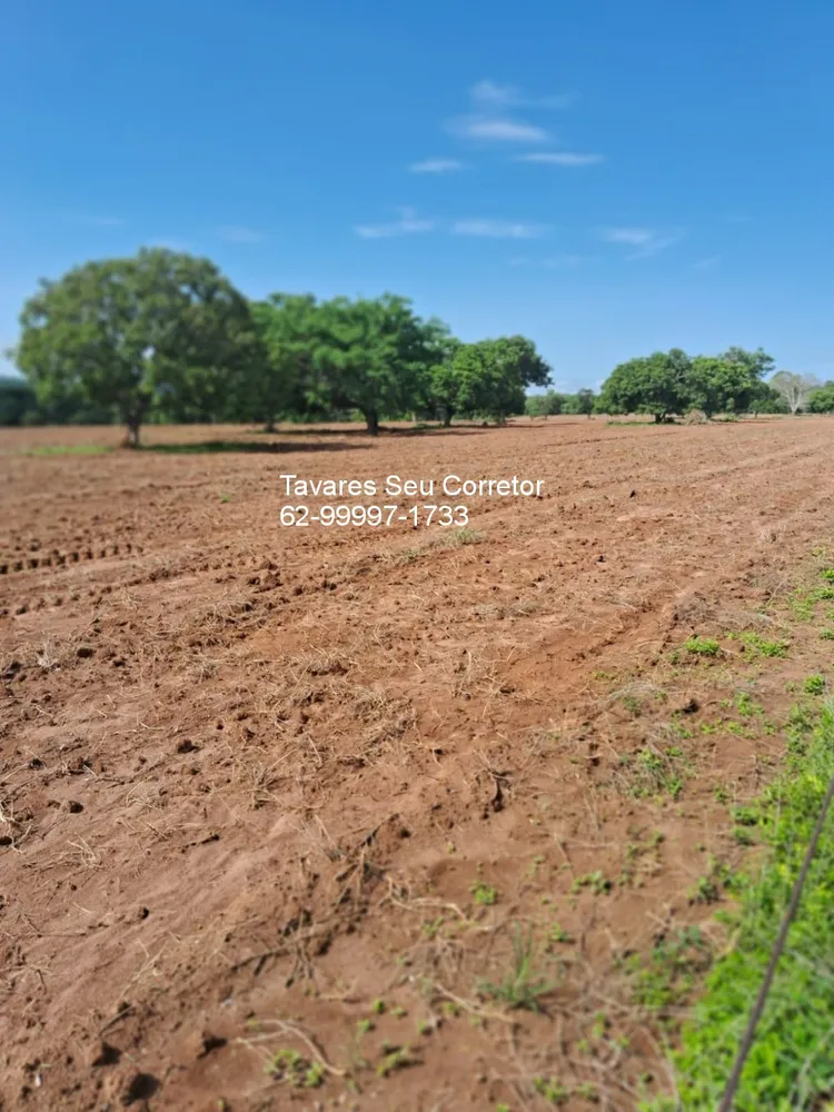 Fazenda - Foto 11