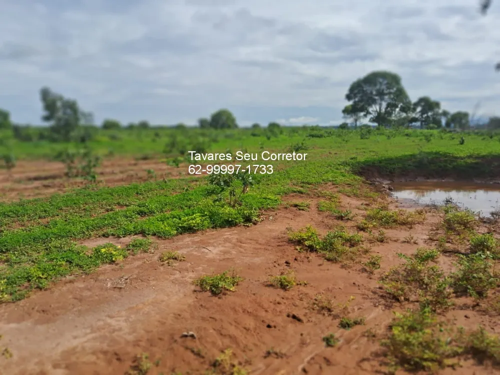 Fazenda - Foto 12