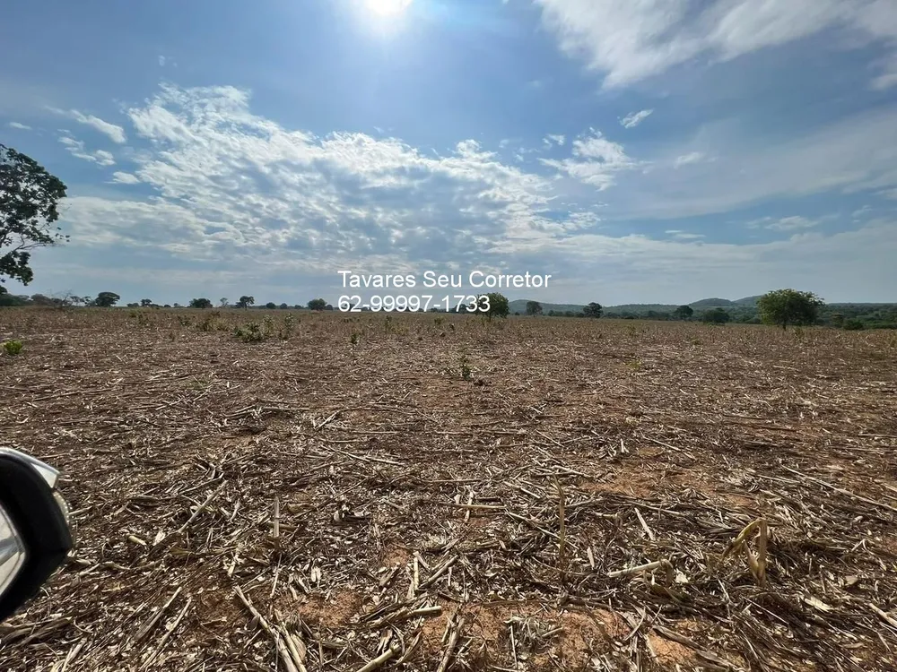Fazenda - Foto 4