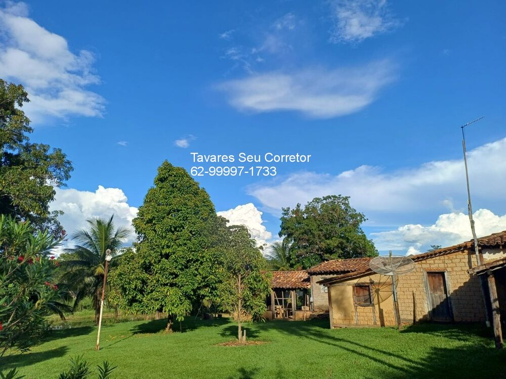 Fazenda à venda - Foto 8