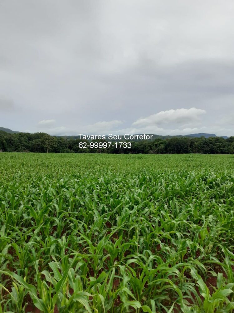 Fazenda à venda - Foto 2