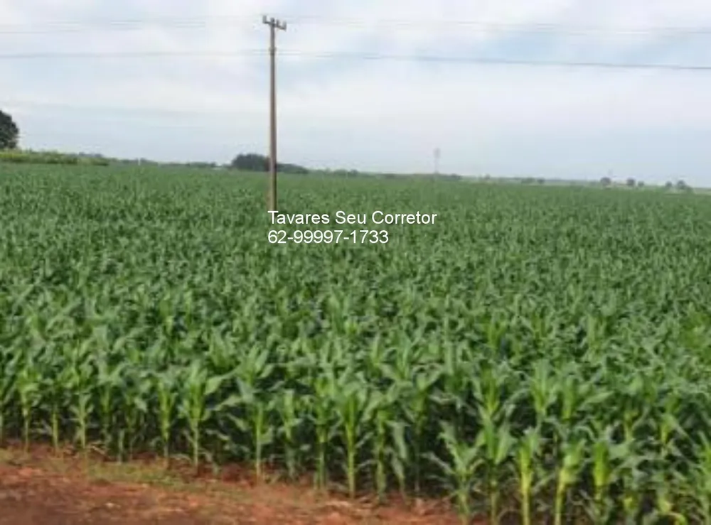 Fazenda, 7000 m² - Foto 1